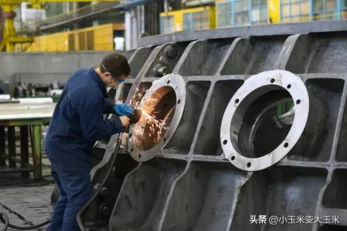 都在拼命 广东拼命建大学,浙江拼命建职业本科大学