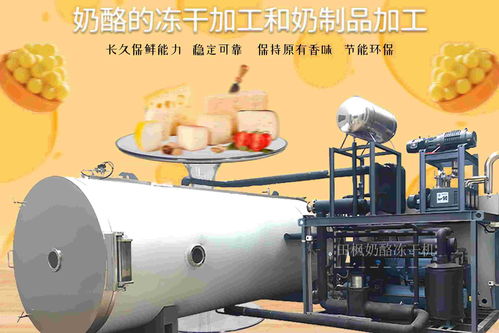 食品冻干机冻干技术 奶酪的持久美味与营养